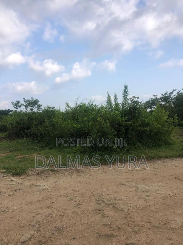 12 Acres of Land at Jacaranda in Watamu