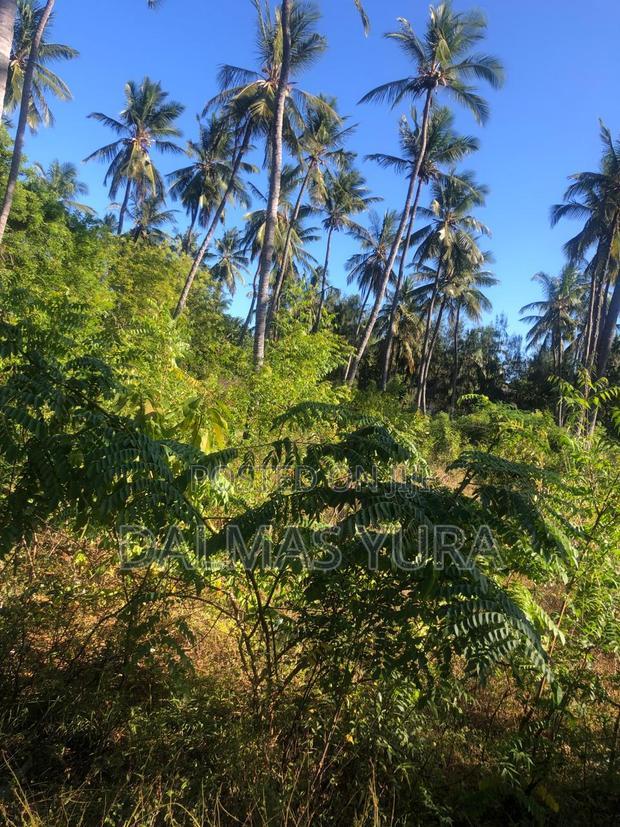 A Quarter an Acre Land at Dongokundu in Watamu