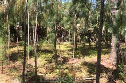 1 Acre Prime Land