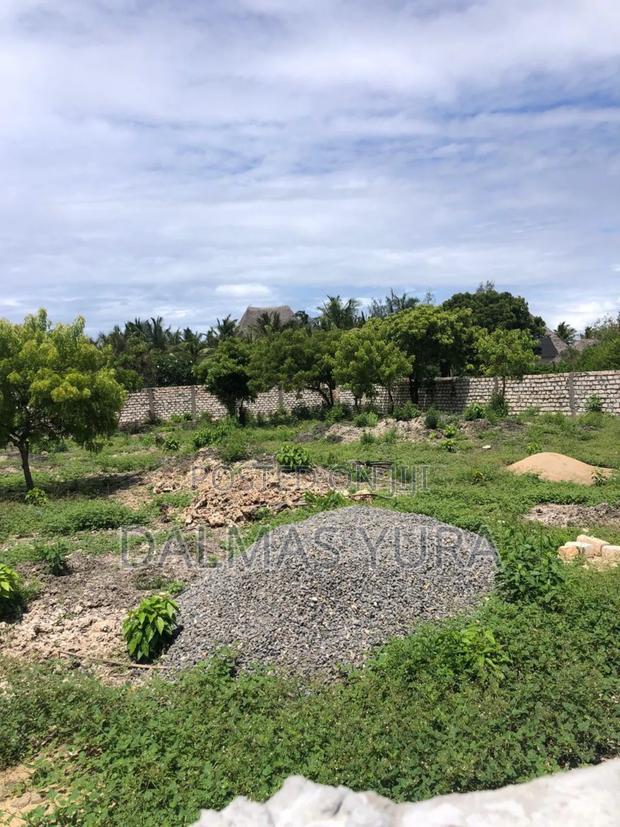 Prime Plot in Watamu