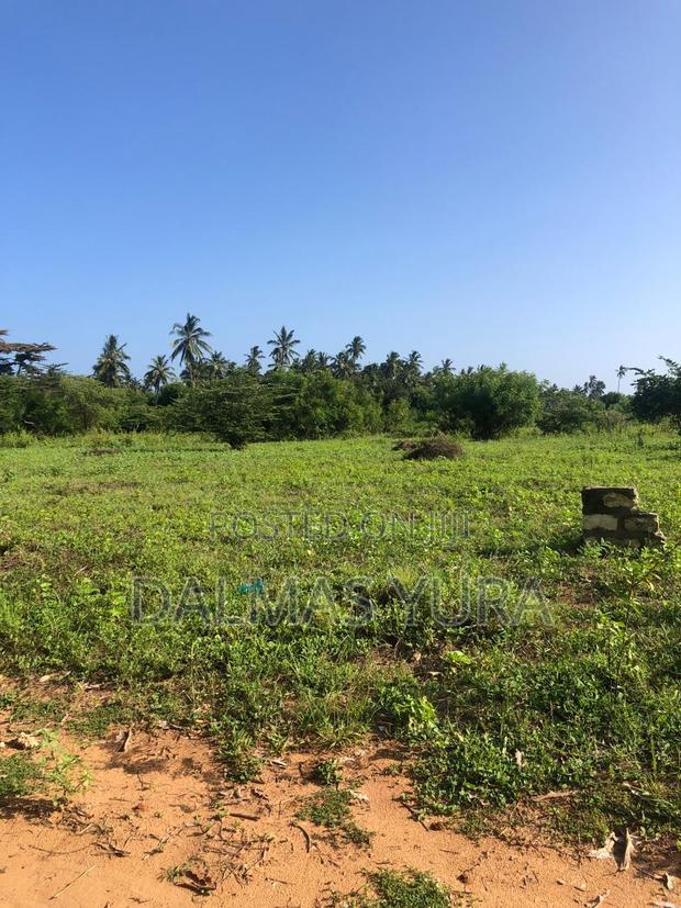 An Acre Land in Gede - Watamu