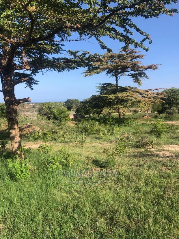 4 Acres Prime Land