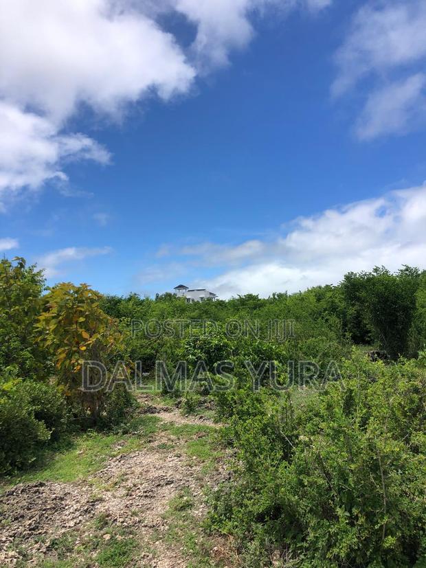 One and a Half Acres in Watamu
