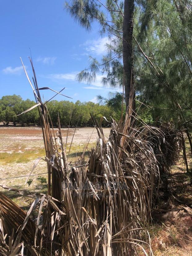 1 Acre Prime Land