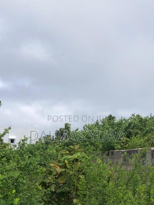 One and a Half Acres in Watamu