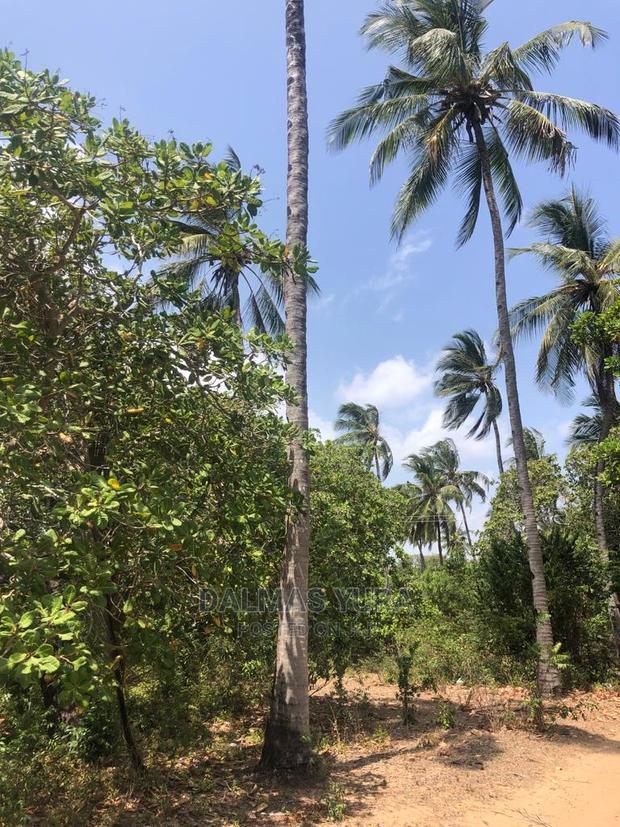 1 Acre Land in Dabaso