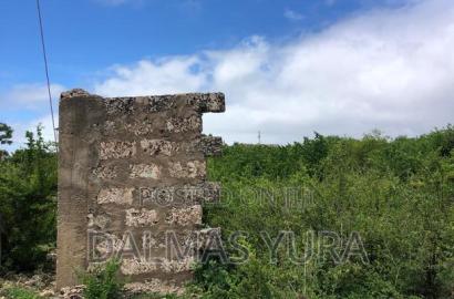 One and a Half Acres in Watamu