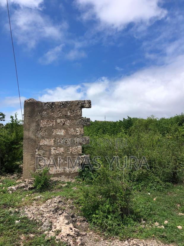 One and a Half Acres in Watamu