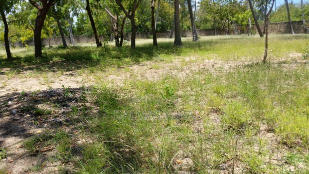 2 Acres of Land in Watamu