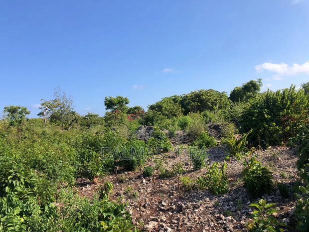 An Acre Land in Watamu