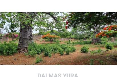 3 Acres of Prime Land, Casuarina - Malindi