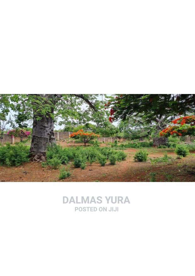 3 Acres of Prime Land, Casuarina - Malindi