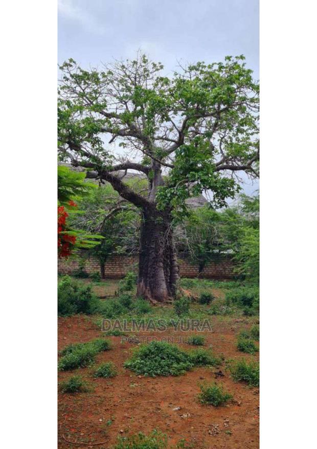 3 Acres of Prime Land, Casuarina - Malindi