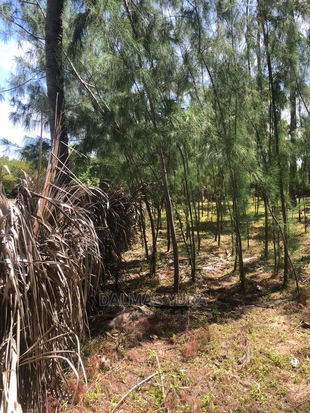 1 Acre Prime Land