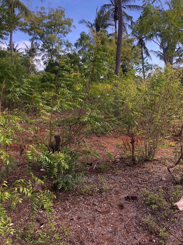 3 Acres of Land in Watamu
