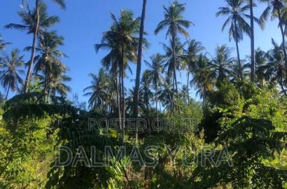 A Quarter an Acre Land at Dongokundu in Watamu