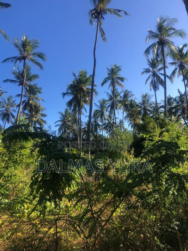 A Quarter an Acre Land at Dongokundu in Watamu
