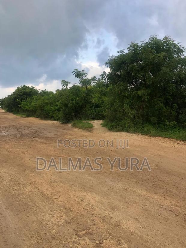 12 Acres of Land at Jacaranda in Watamu