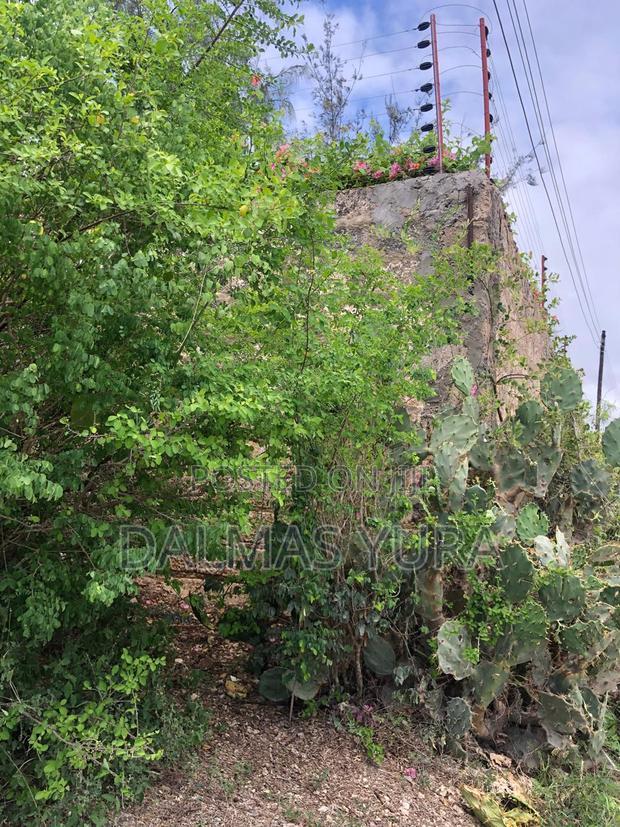 One and a Half Acres in Watamu