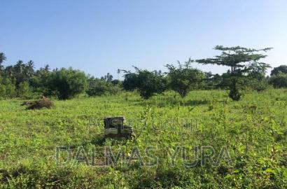 An Acre Land in Gede - Watamu