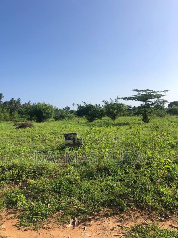 An Acre Land in Gede - Watamu