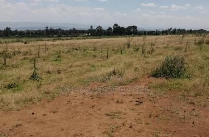 Prime 60-Acre Parcel of Land in Njoro, Nakuru