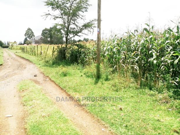 1/4 Acre 2nd Row Plot From Tarmac at Ngata