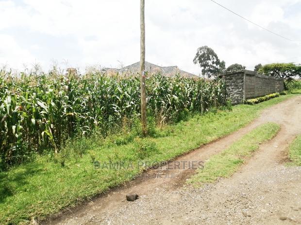 1/4 Acre 2nd Row Plot From Tarmac at Ngata