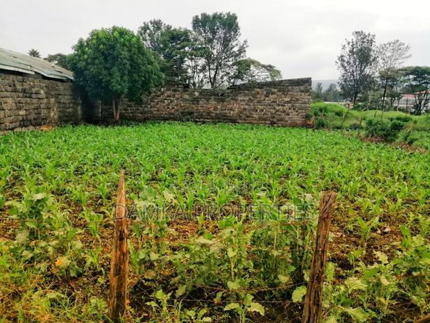 50*100 Plot for Sale in Freehold Opp. Kasarani Police Line