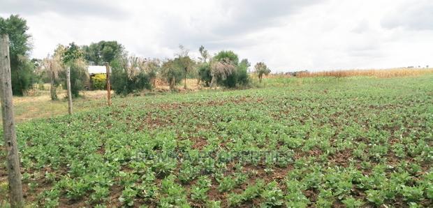 50*100 Plots for Sale at Sobea, Nakuru