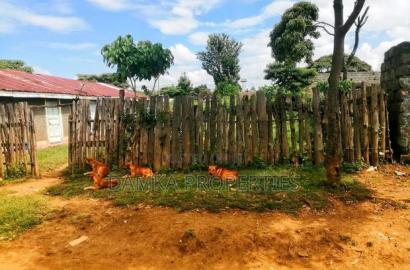 Plot for Sale With Semi Permanent Houses in Freearea