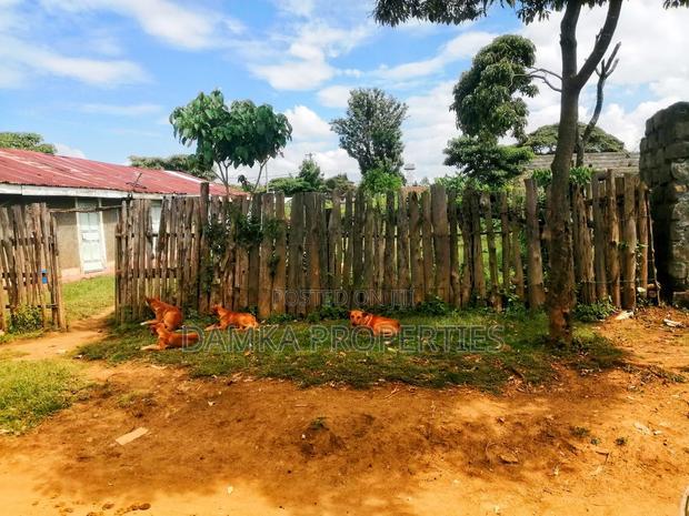 Plot for Sale With Semi Permanent Houses in Freearea