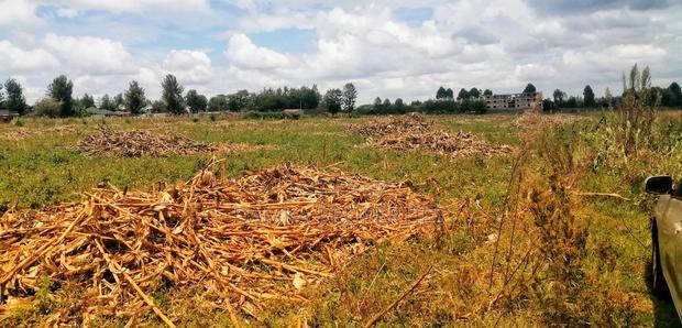Plots Foe Sale Fronting the Highway at Ngata, Nakuru
