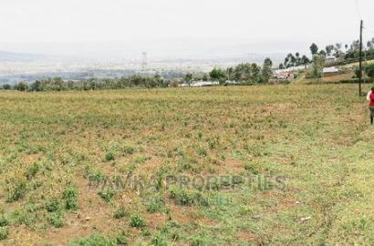 50*100 Plots for Sale in Ngata 2kms From Tarmac