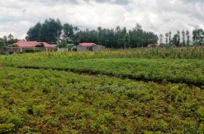 50*100 Plot for Sale Next to St. George's Grasslands School