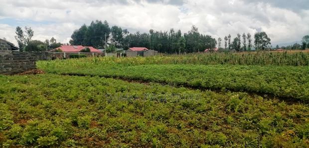 50*100 Plot for Sale Next to St. George's Grasslands School