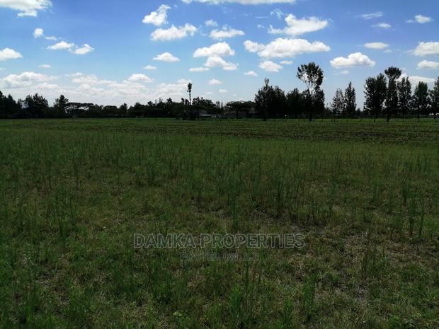 1/8 Acre Plot for Sale in Sobea, Nakuru