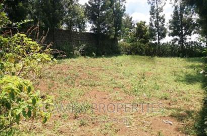 50*100 Plot for Sale in Kiamunyi Olive Inn
