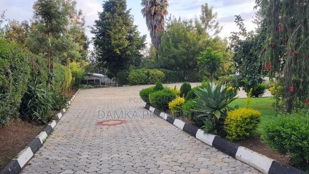 4bdrm Bungalow in Tiriki, Milimani Estate for sale