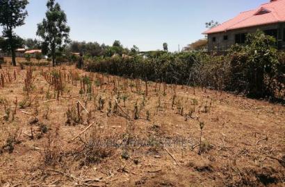 50*100 Plot for Sale in Kiamunyi