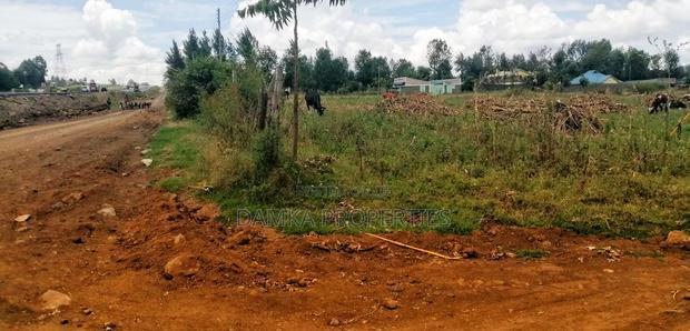 Plots Foe Sale Fronting the Highway at Ngata, Nakuru