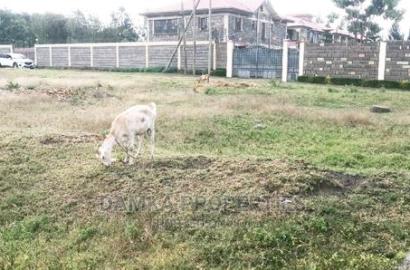 1/4 Acre for Sale Near Mwariki Police Post, Nakuru