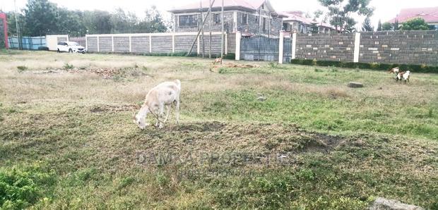 1/4 Acre for Sale Near Mwariki Police Post, Nakuru
