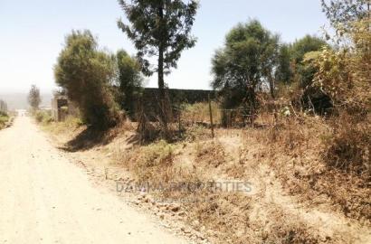 50*100 Plot for Sale in Kiamunyi 500mts From Tarmac