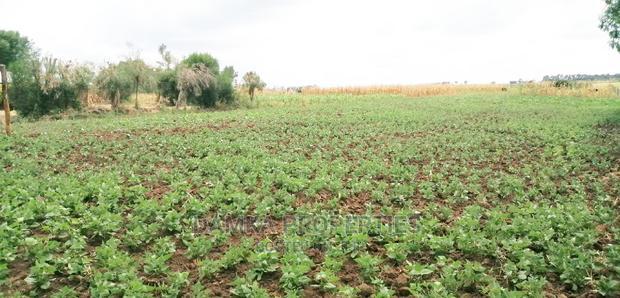 50*100 Plots for Sale at Sobea, Nakuru