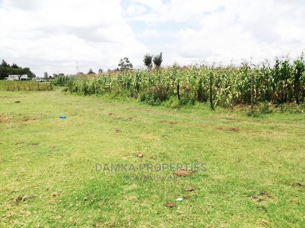 1/4 Acre 2nd Row Plot From Tarmac at Ngata