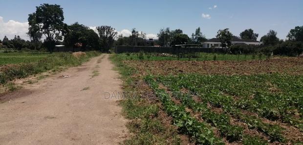 1/4 Acre Plot for Sale at Pemways in a Contolled Estate