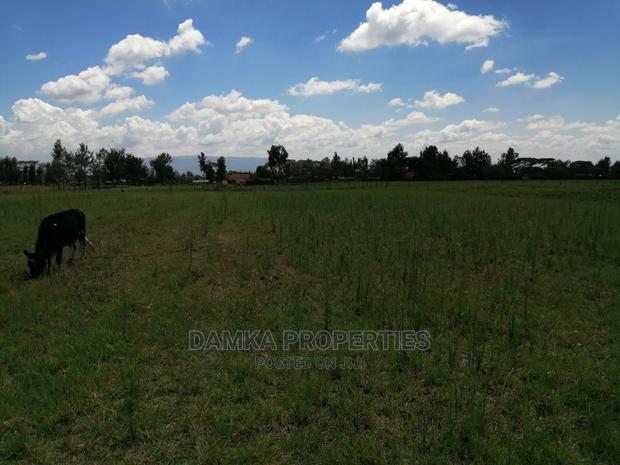 1/8 Acre Plot for Sale in Sobea, Nakuru