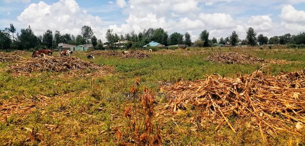 Plots Foe Sale Fronting the Highway at Ngata, Nakuru