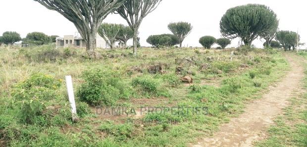 1/4 Acre Plots for Sale Along Moi South Lake Road, Naivasha